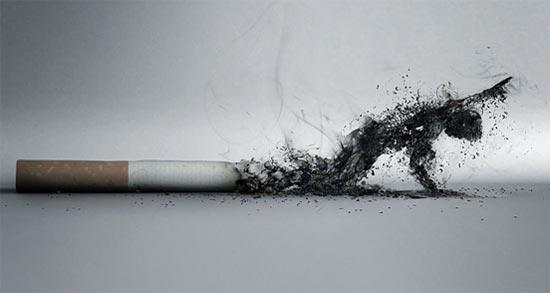 Smoking's Impact on Your Business